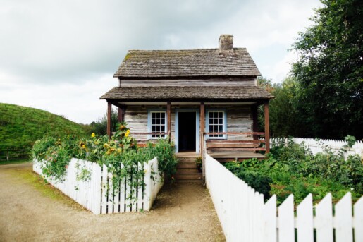 photo of log cabin surrounded by plants